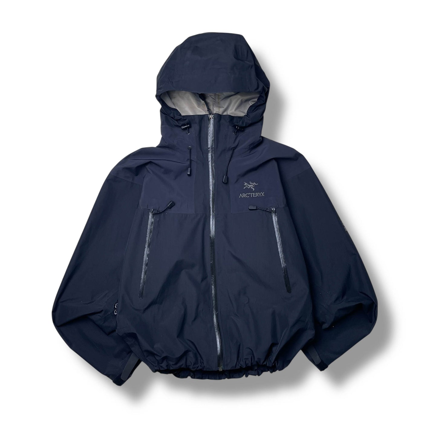 Vintage Arc’teryx Beta AR Gore-Tex Pro Jacket (L)