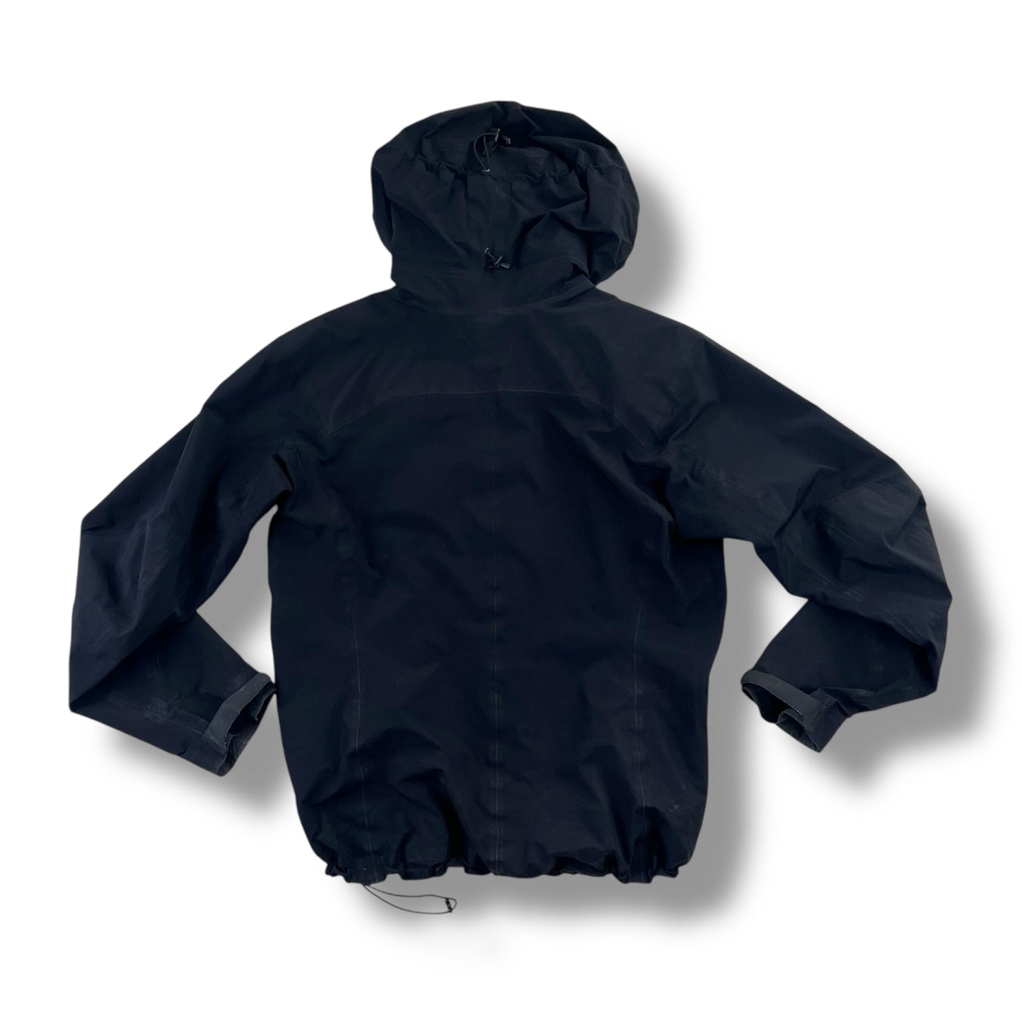 Womens Arc'teryx Beta AR (L)