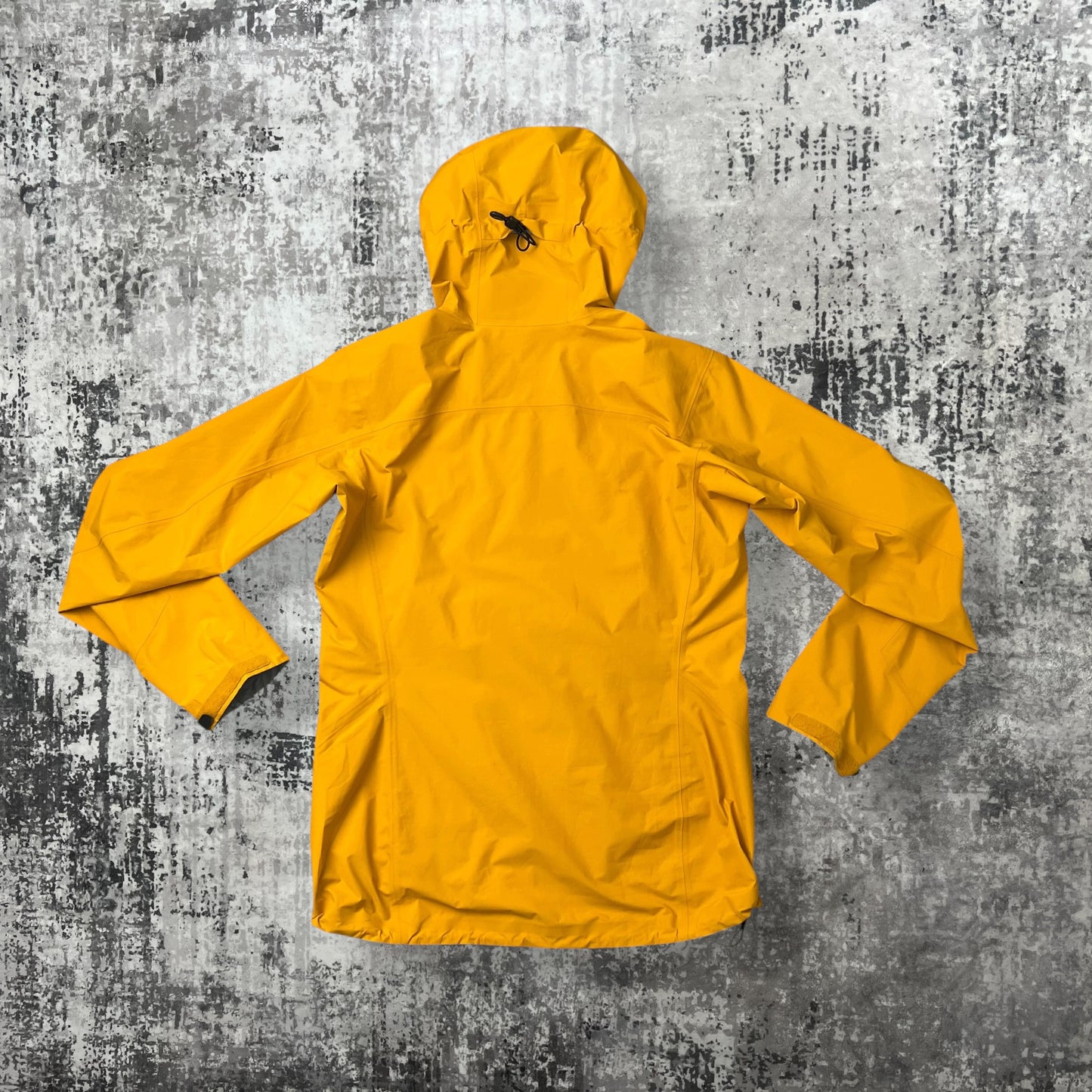 Womens Arc'teryx Zeta SL (M)