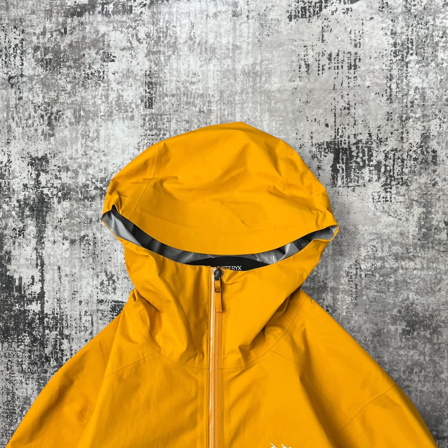 Womens Arc'teryx Zeta SL (M)