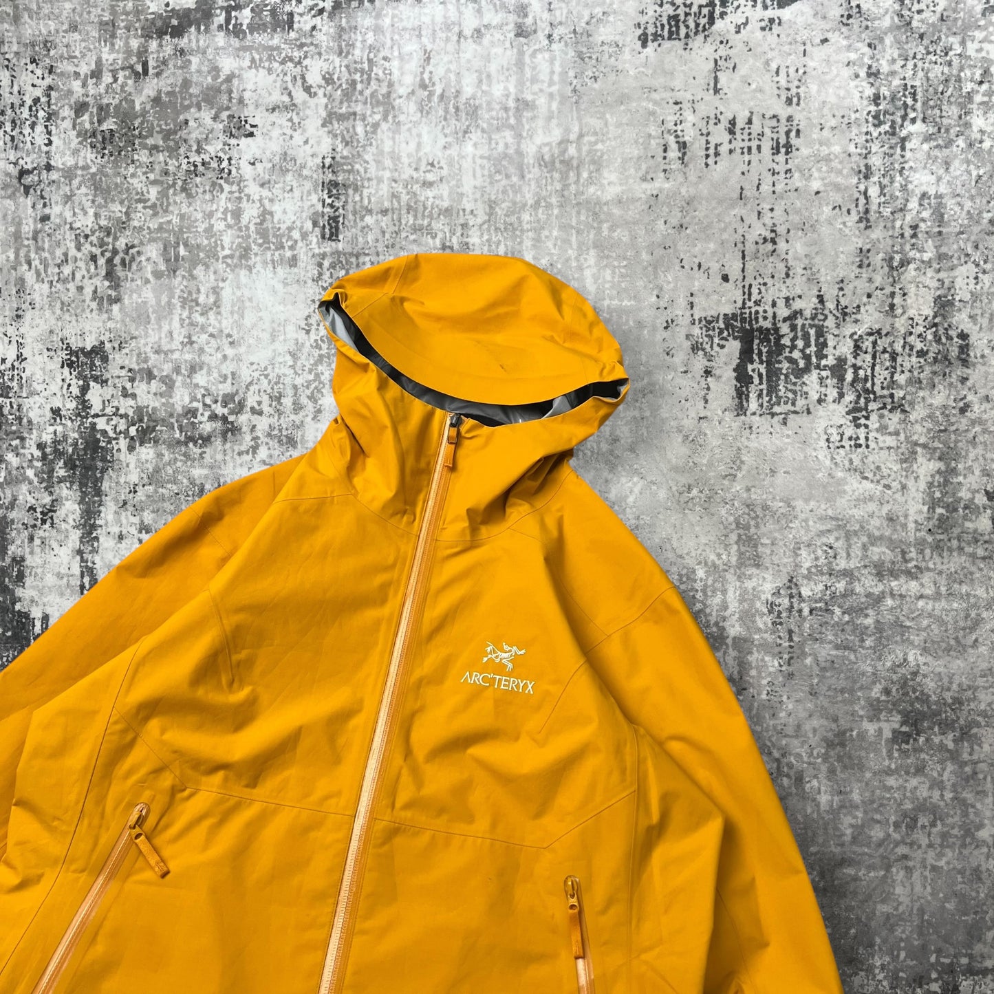 Womens Arc'teryx Zeta SL (M)
