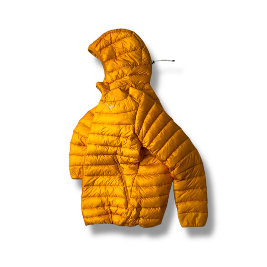 Womens Arc’teryx Cerium Puffer (M)