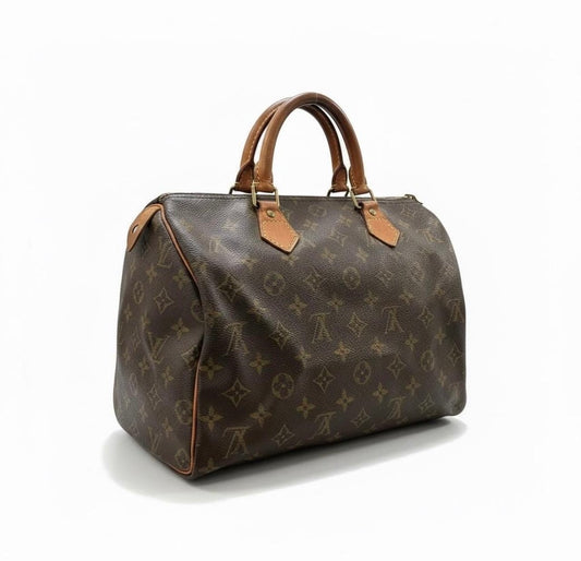 Louis Vuitton Speedy Handbag