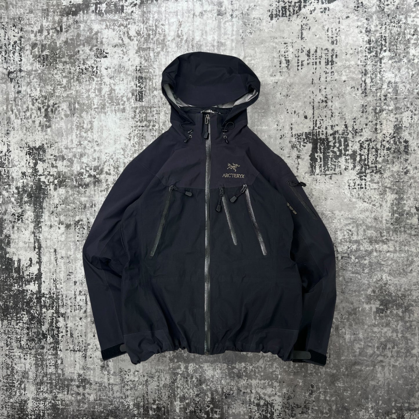 Womens Arc'teryx Theta AR Goretex Jacket (M)