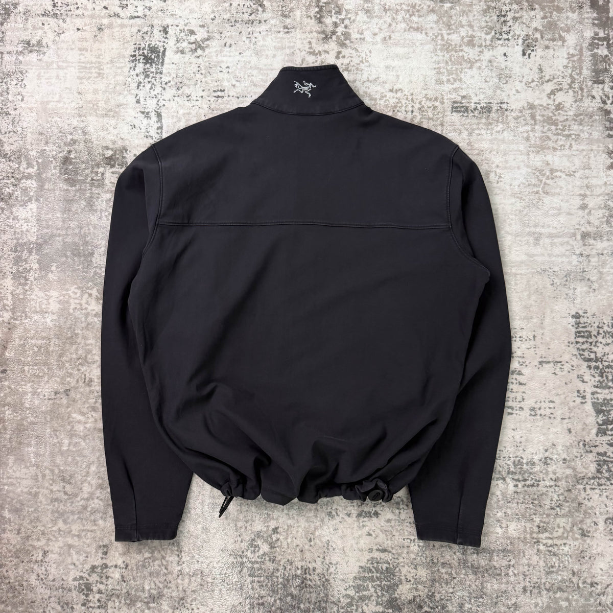 Vintage Arc'teryx Gamma SV (M)