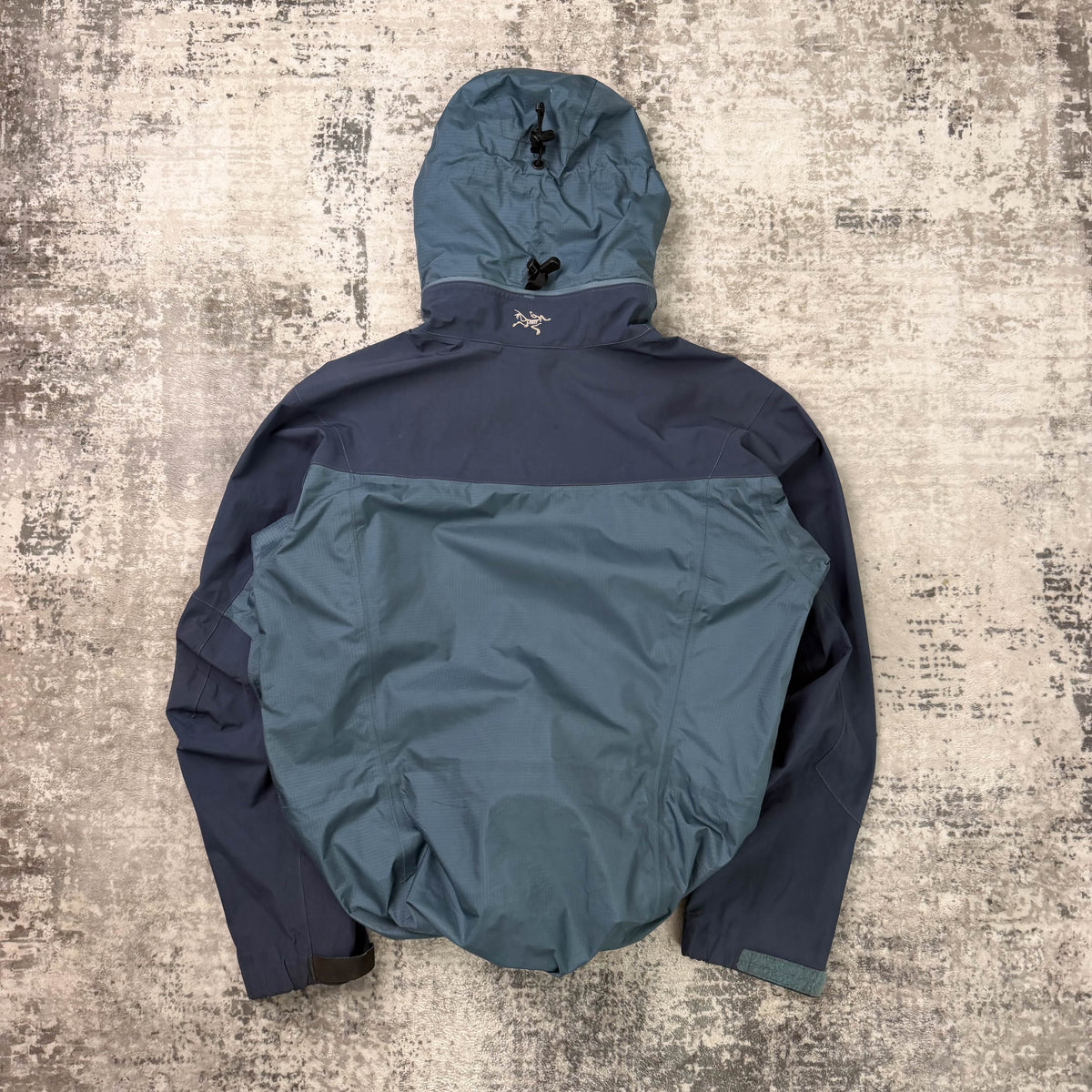 Vintage Arc'teryx Theta LT (M)