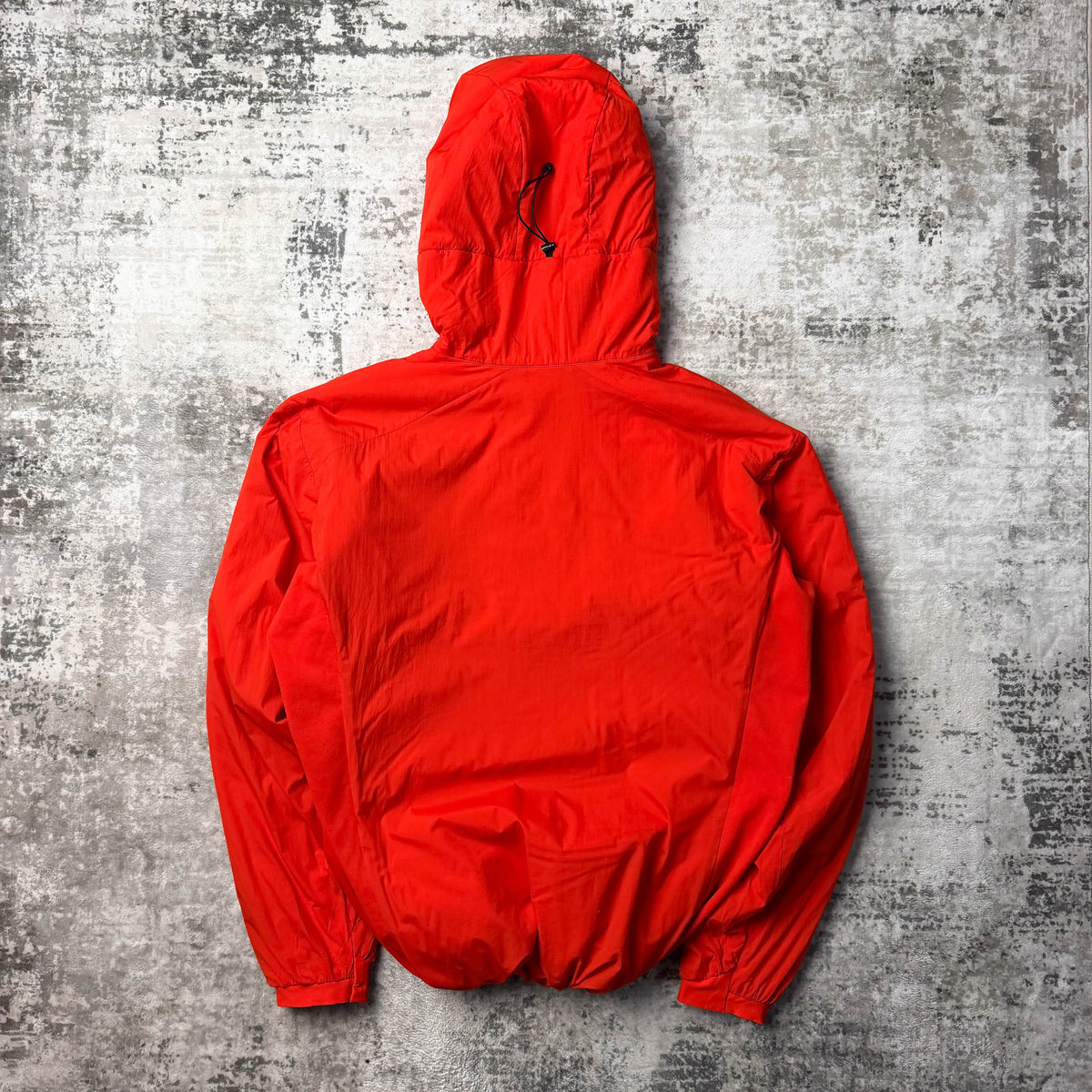 Arc'teryx Atom LT Hoodie (L)