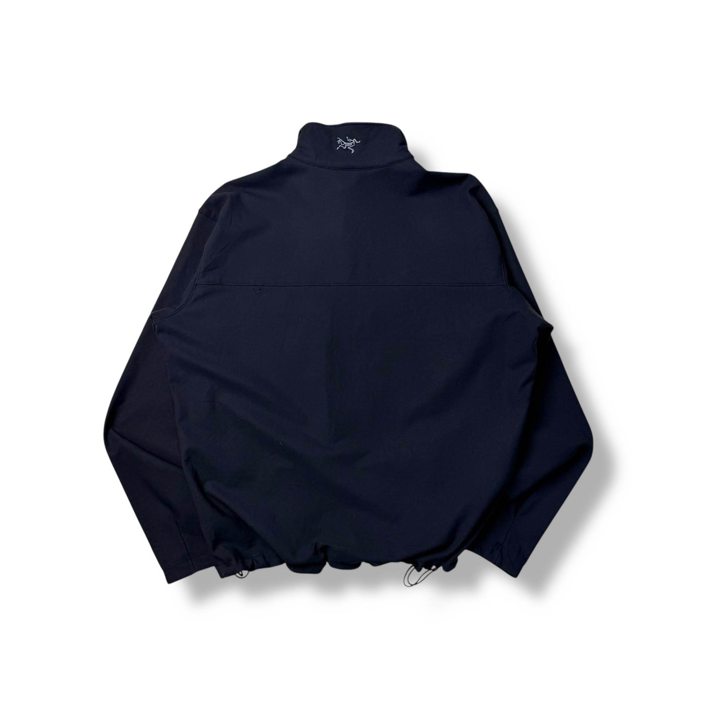 Vintage Arc'teryx Gamma SV (L)