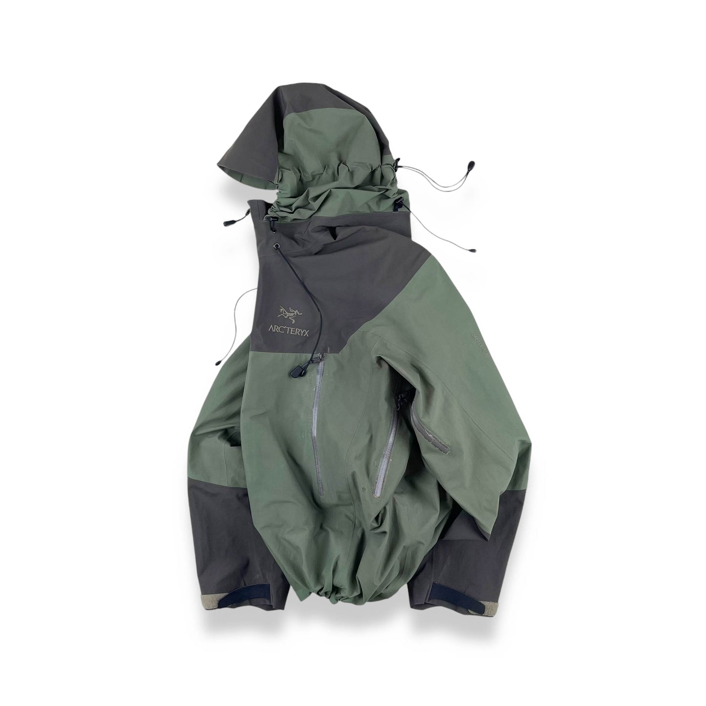 Vintage Arc'teryx Beta AR (L)