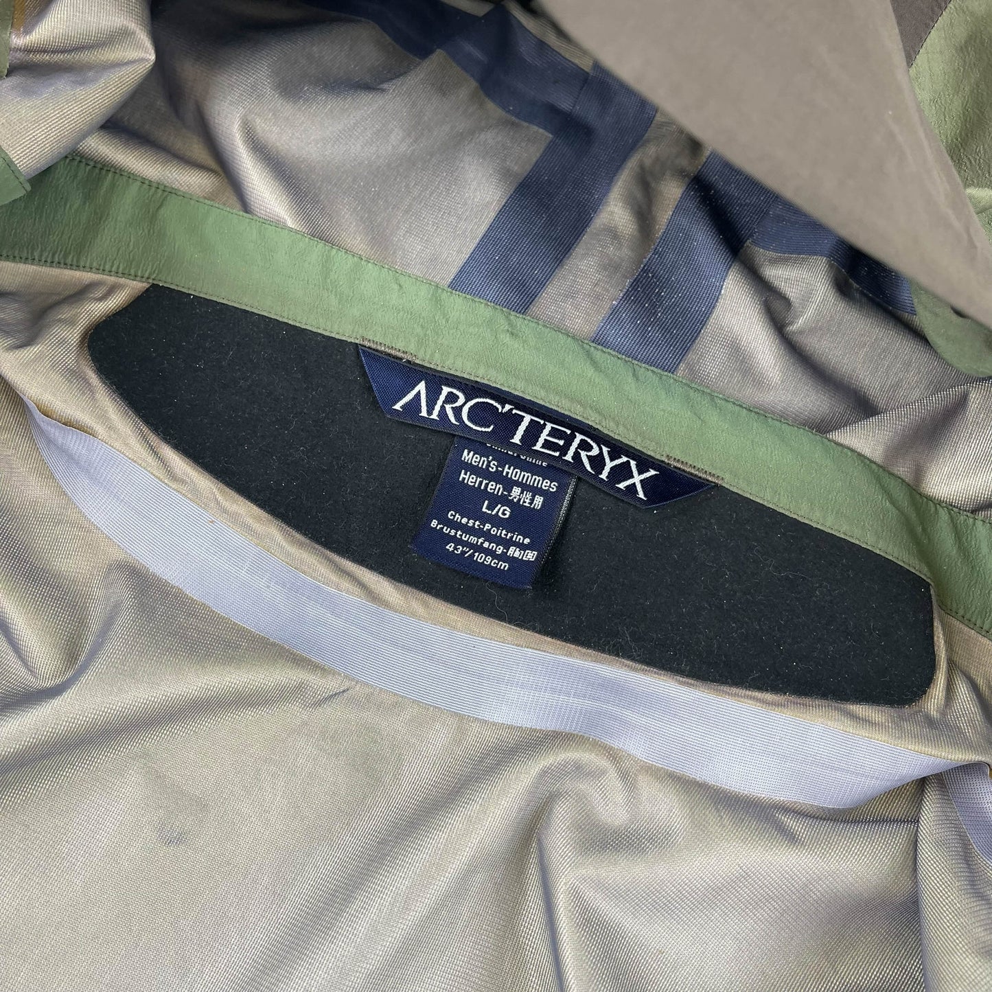 Vintage Arc'teryx Beta AR (L)