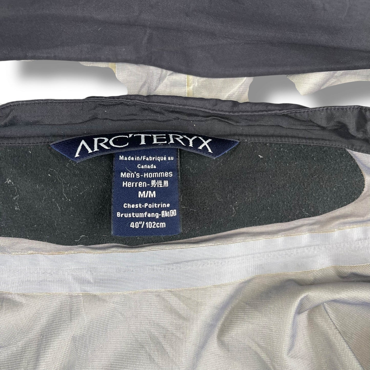 Vintage Arc'teryx Beta AR (M)