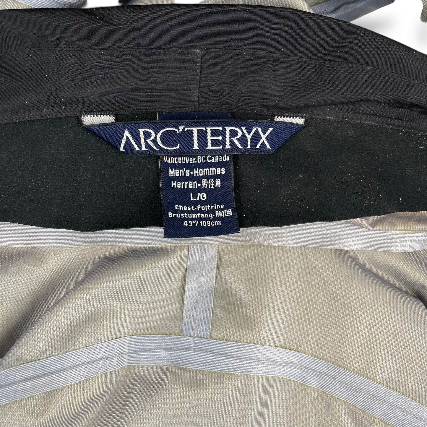 Vintage Arc'teryx Sidewinder (L)