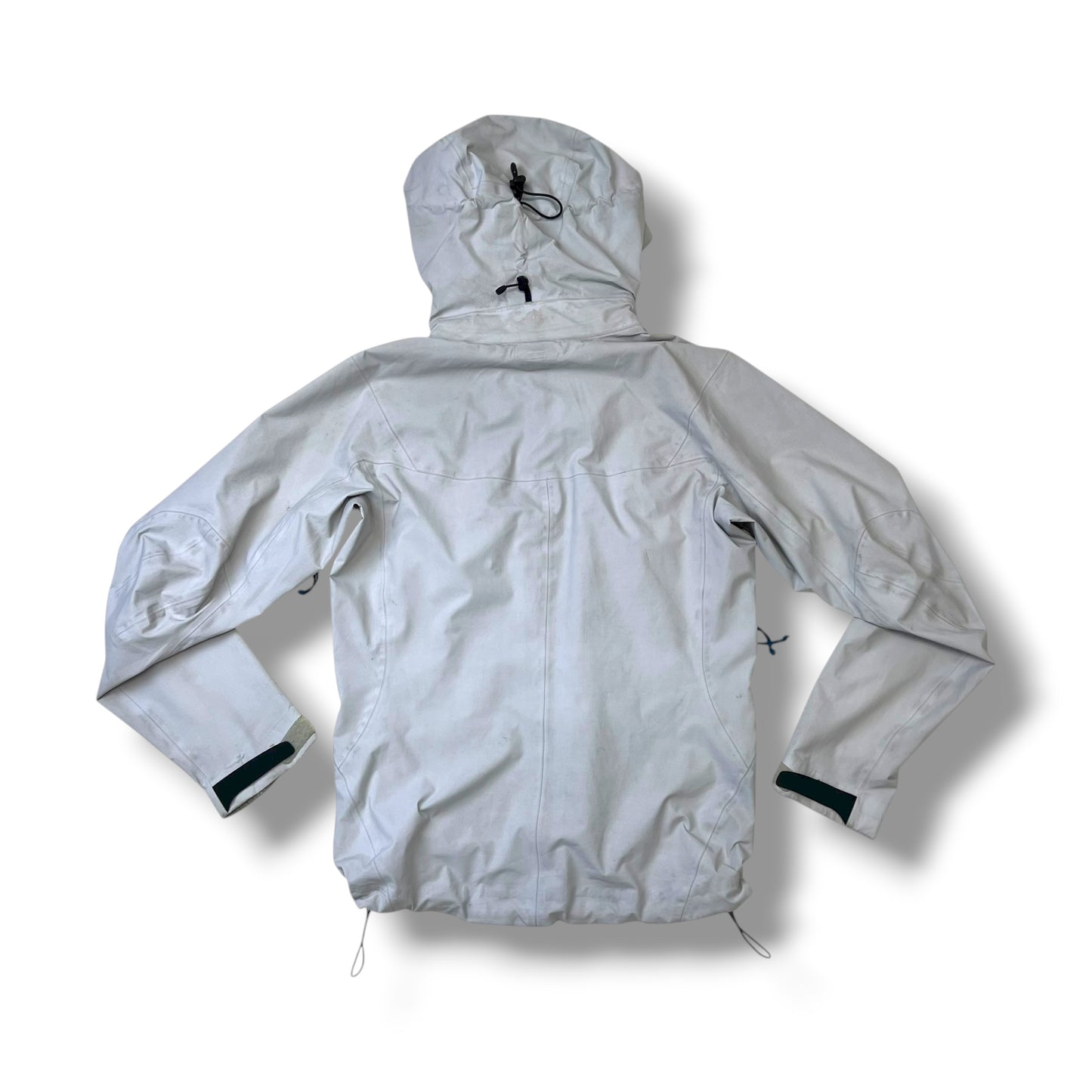 Womens Arc'teryx Beta AR (S)