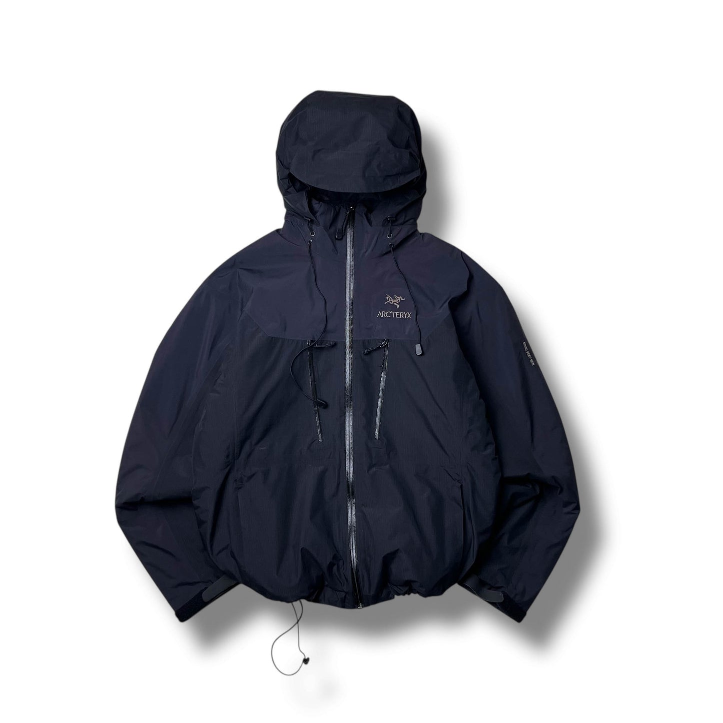 Vintage Arc'teryx Fission SV (M)