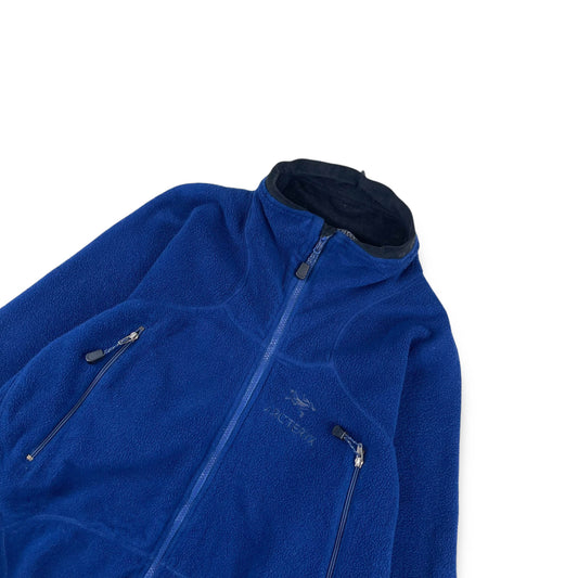 Vintage Arc'teryx Delta AR Fleece (L)