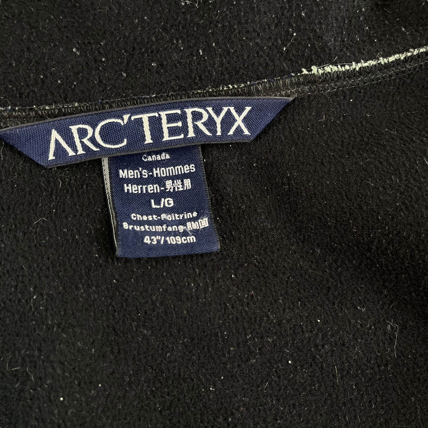 Vintage Arc'teryx Sigma SV (L)