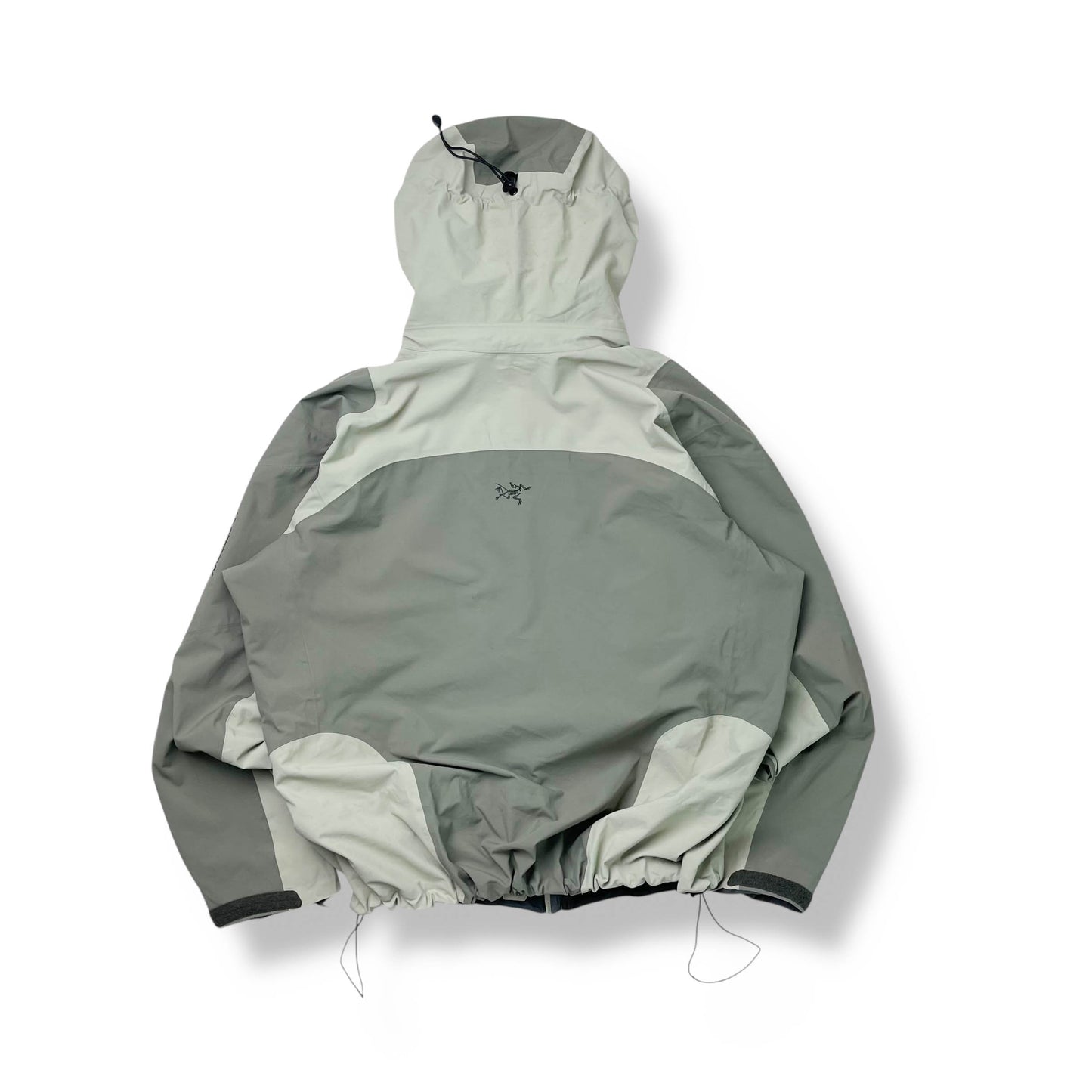 Arc'teryx Stingray Gore-tex Shell Jacket (L)