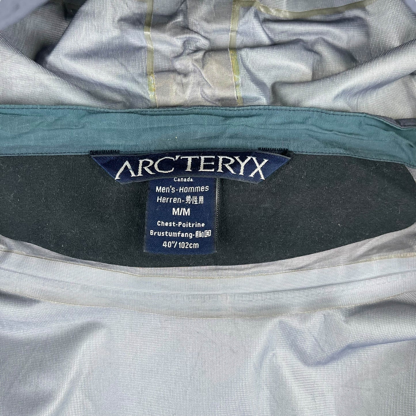 Vintage Arc'teryx Beta AR (M)