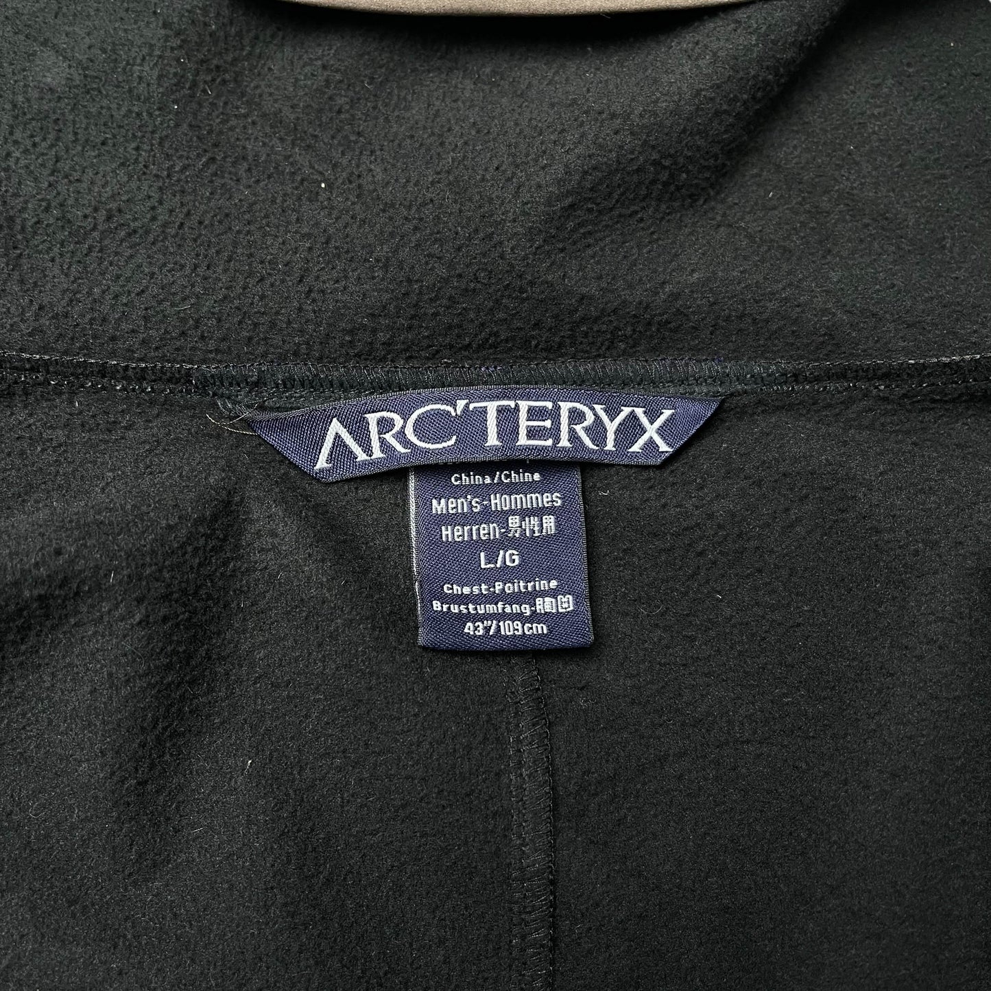 Vintage Arc’teryx Gamma MX Hoodie (L)
