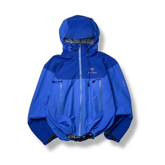 Vintage Arc’teryx Beta AR Gore-Tex Pro Jacket (L)