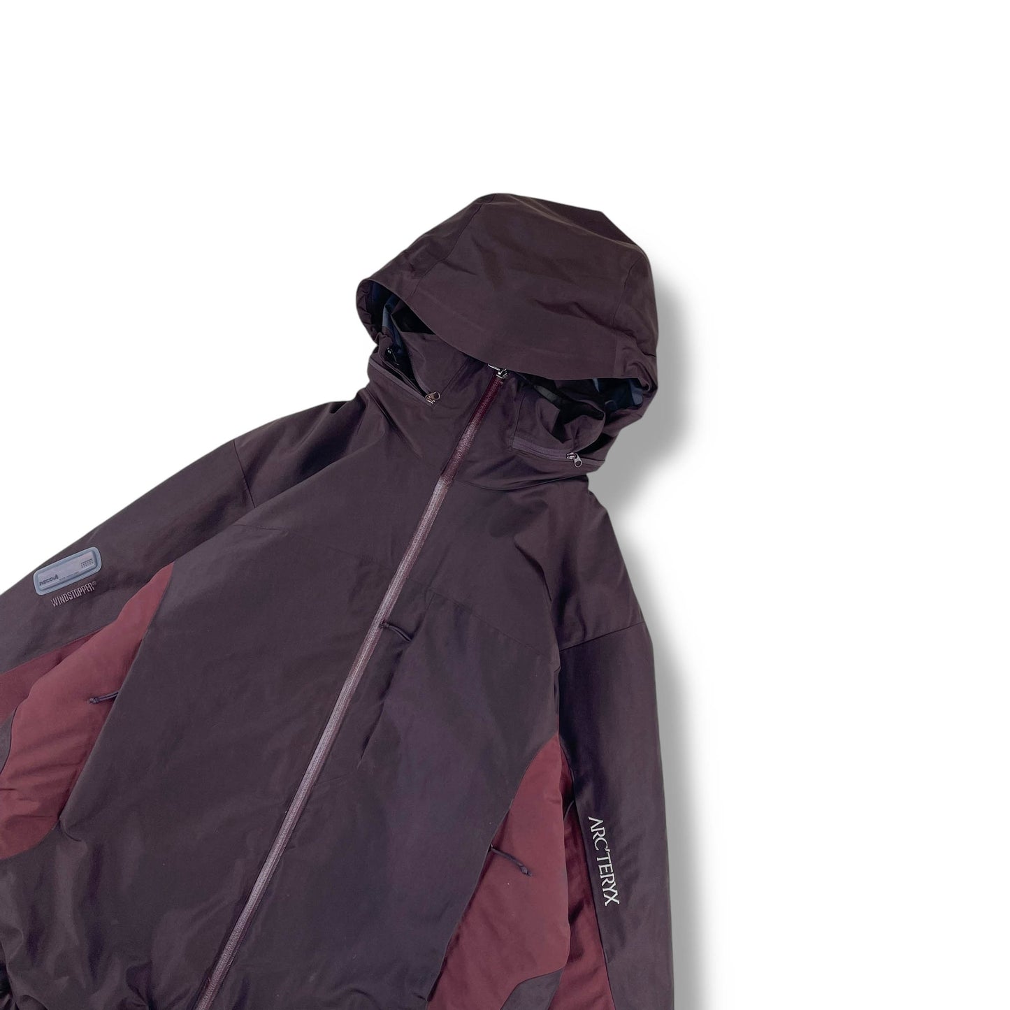 Vintage Arc'teryx Fission SV (L)