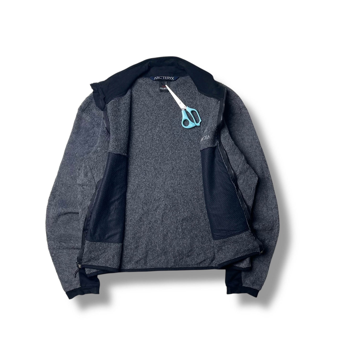 Vintage Arc'teryx Delta RS Fleece (L)