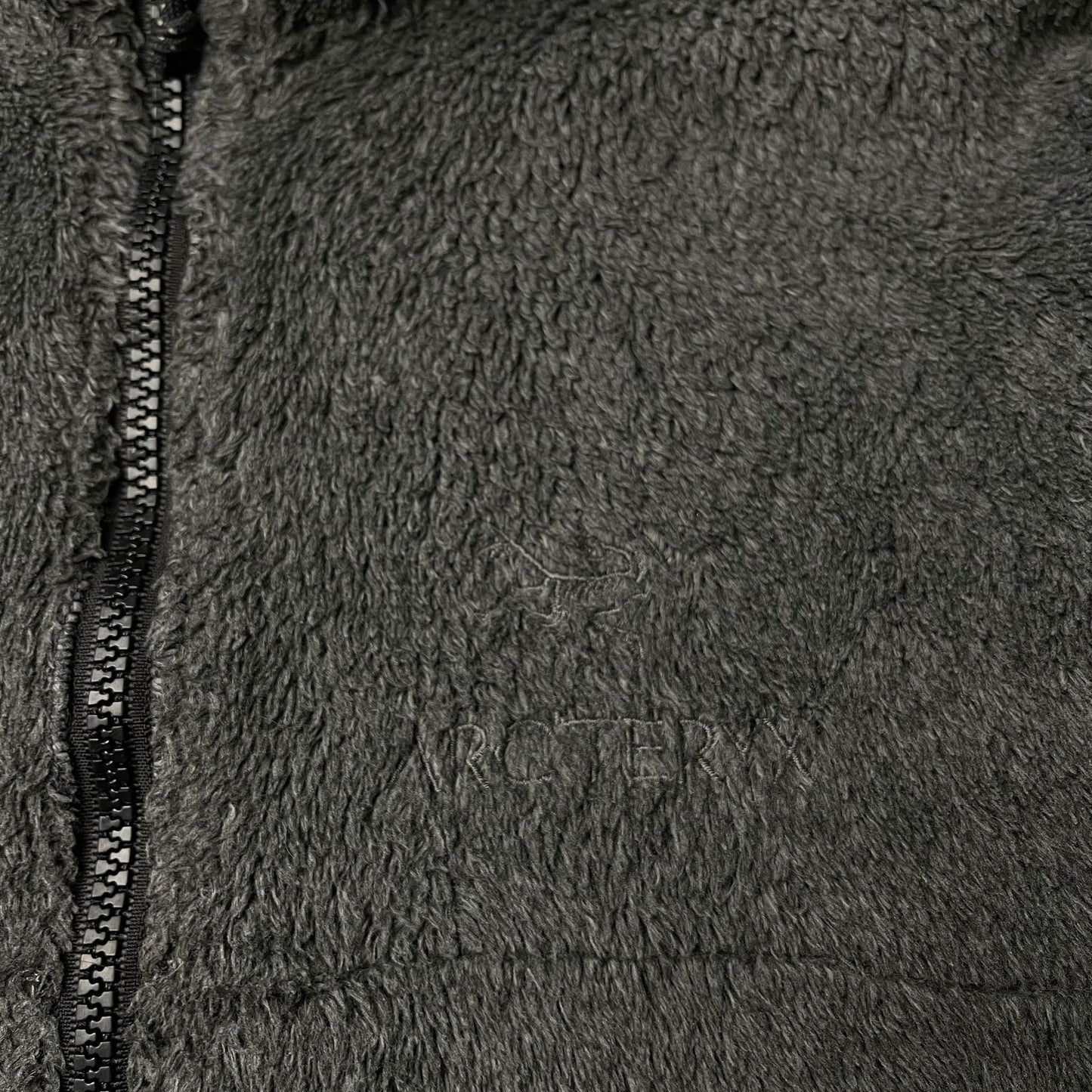 Vintage Arc'teryx Delta RS Fleece (L)