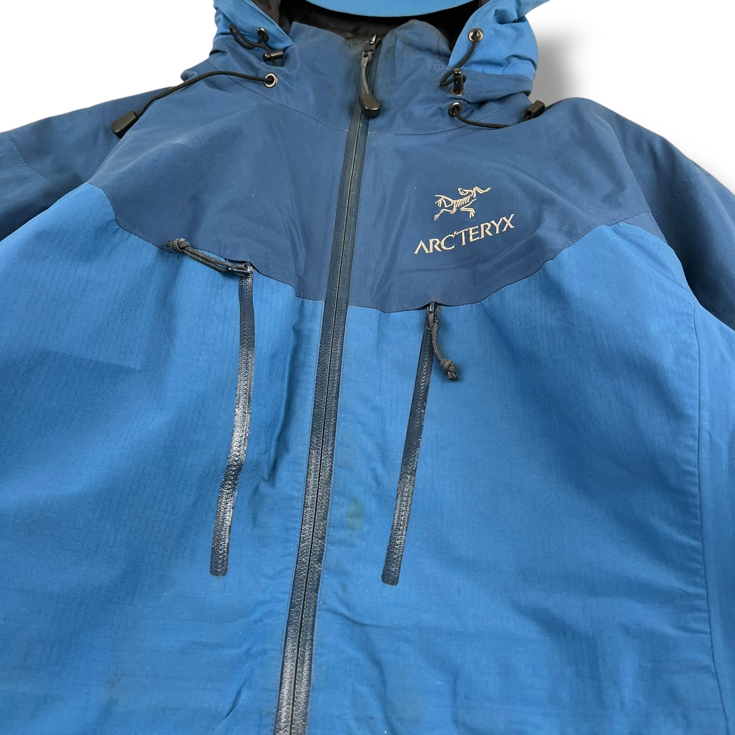 Womens Arc'teryx Fission SV (L)