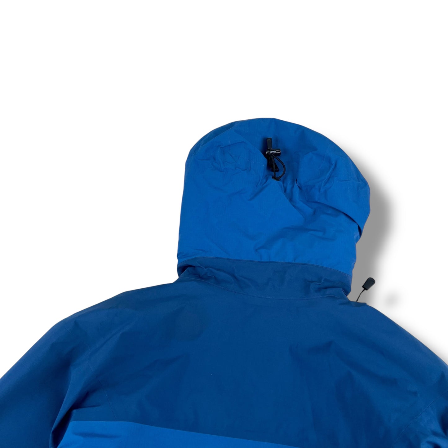 Womens Arc'teryx Fission SV (L)