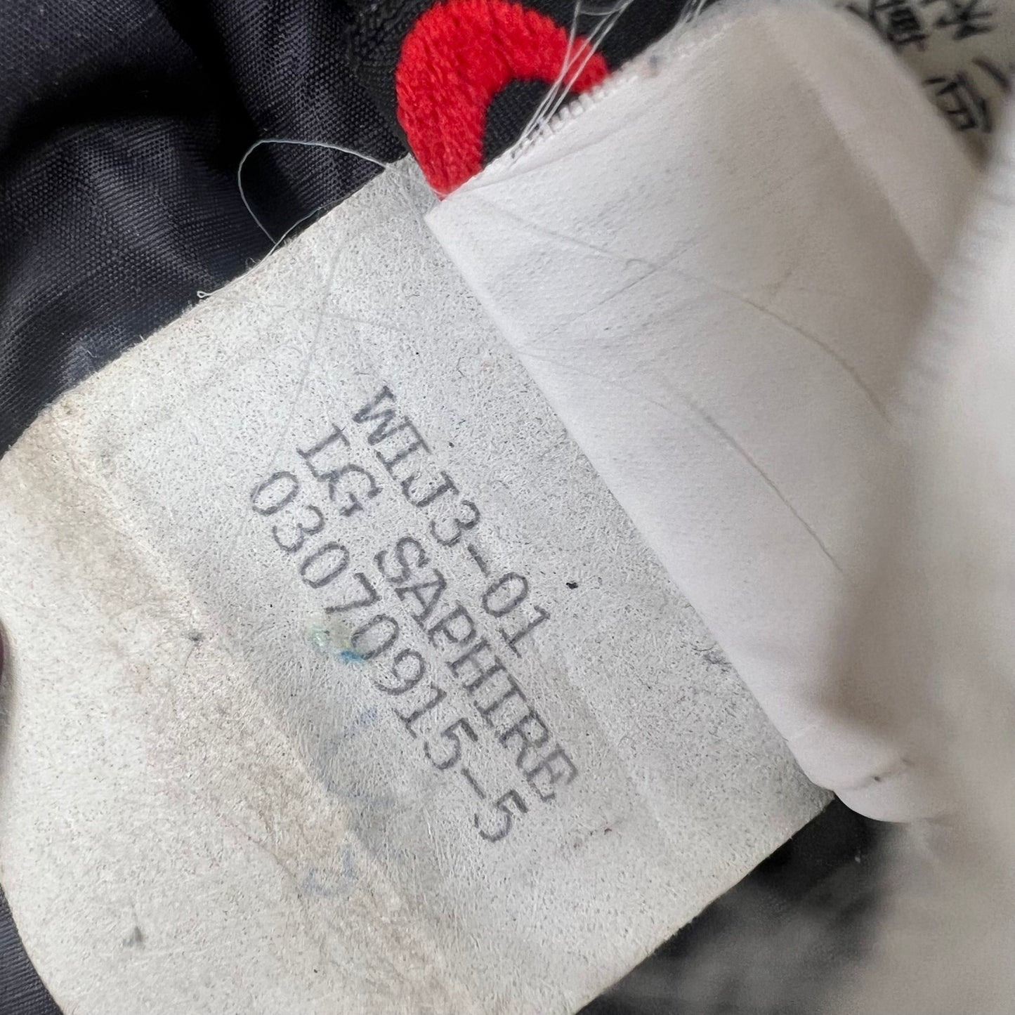 Womens Arc'teryx Fission SV (L)