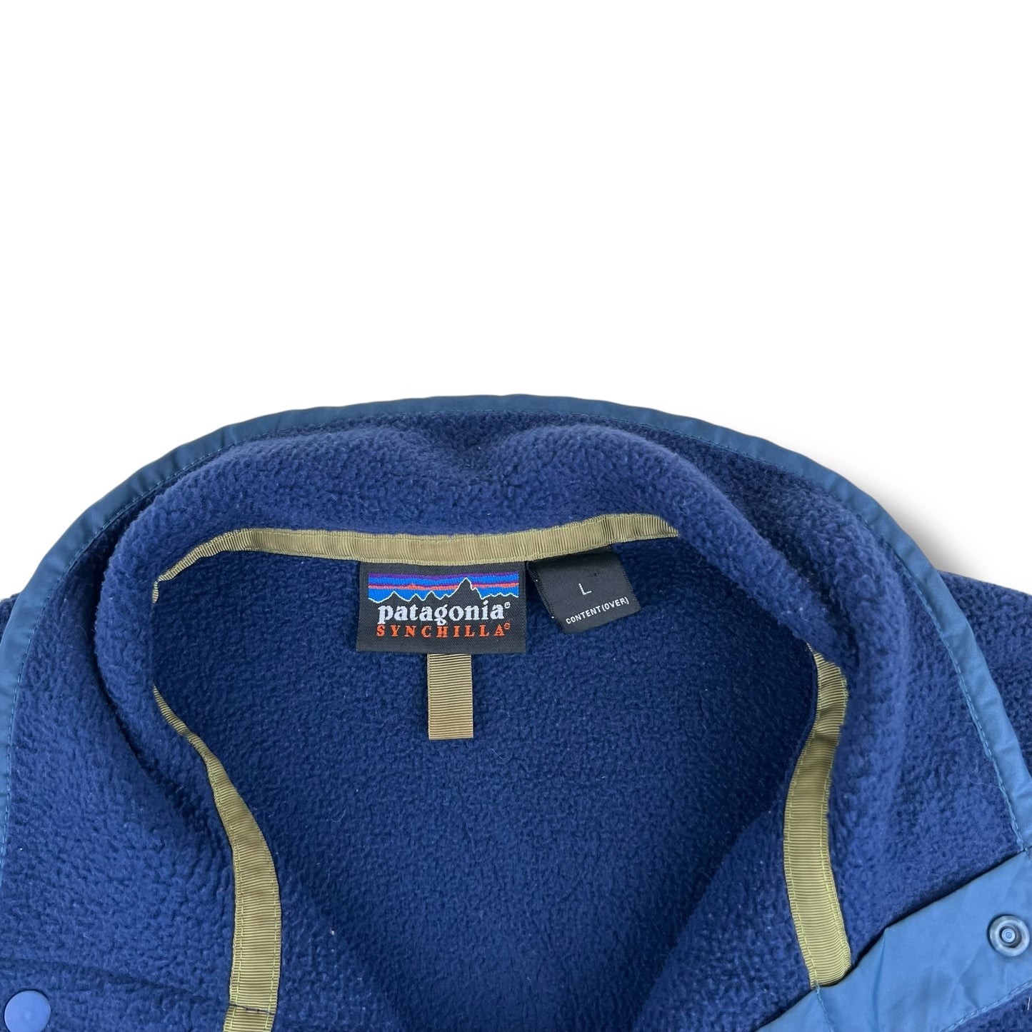 Patagonia Synchilla Fleece (L)